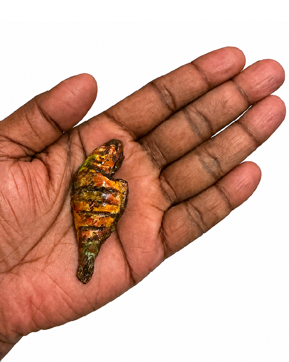 LAUNCHING SOON FISH FRY FRIDGE MAGNET